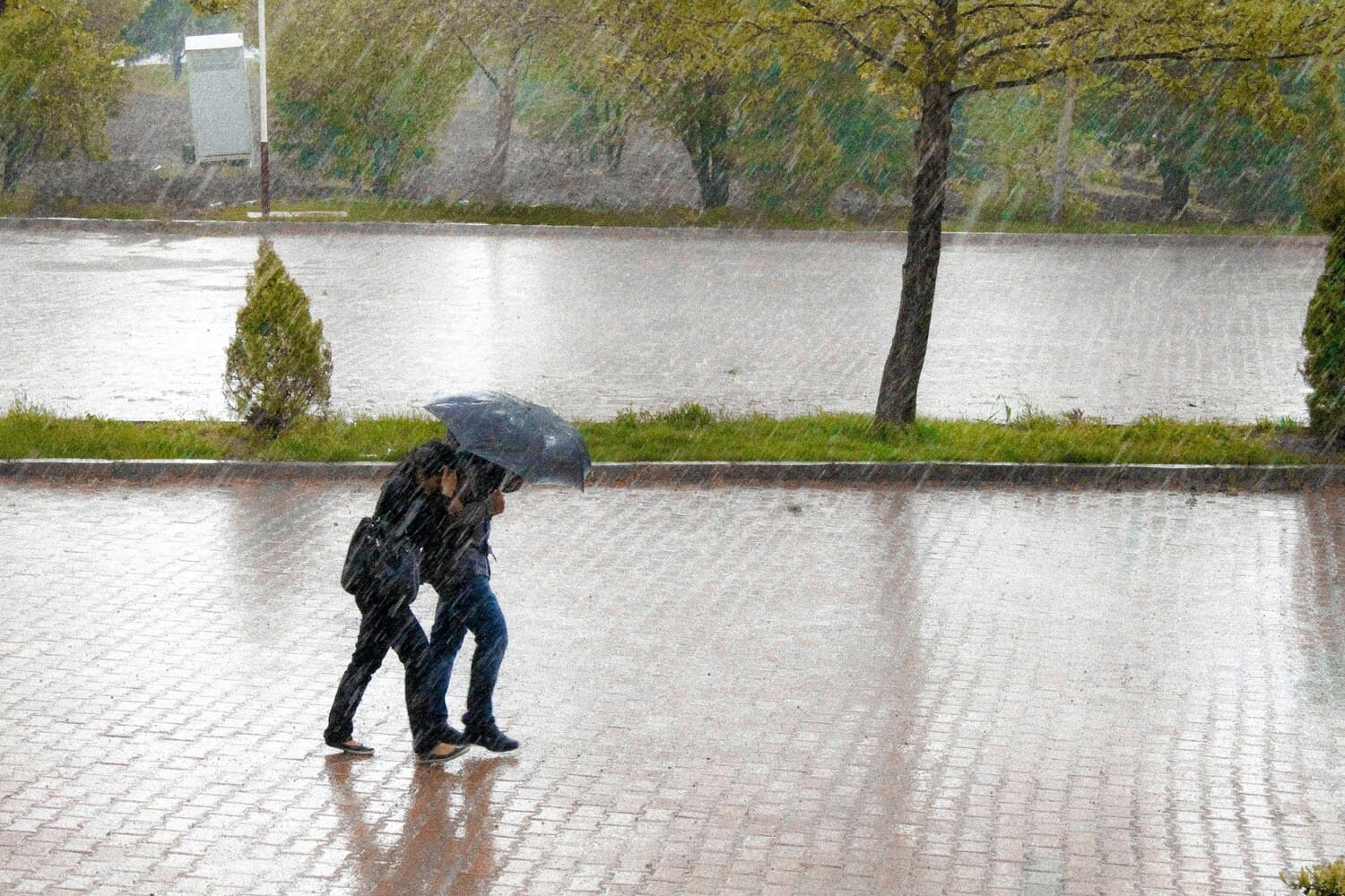 lluvia