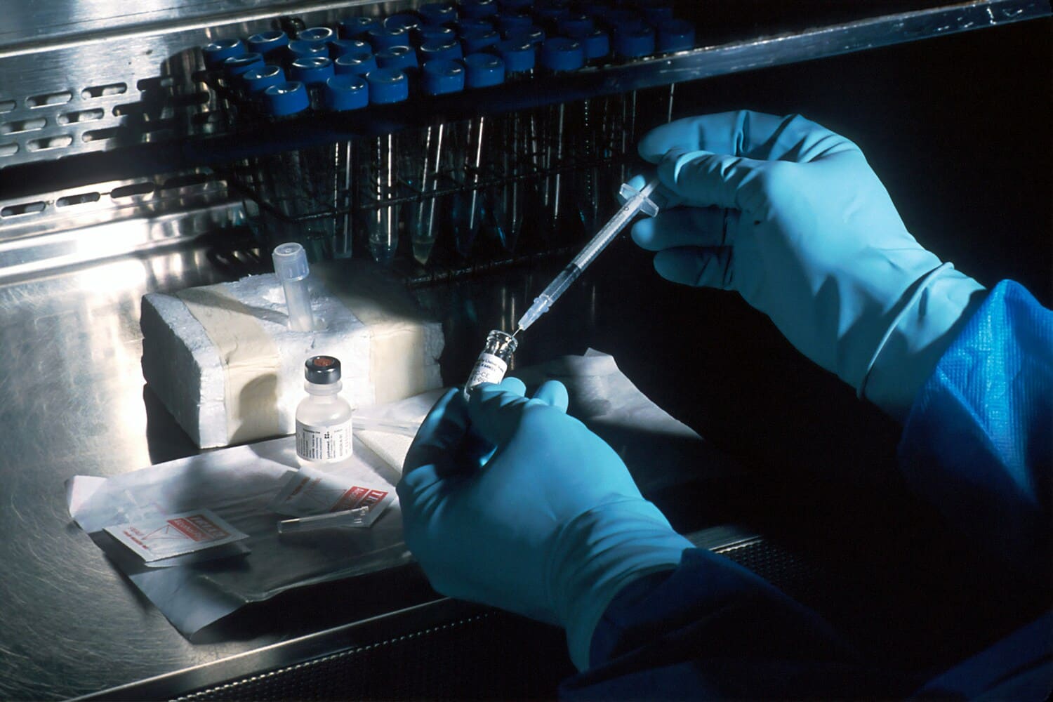 lab