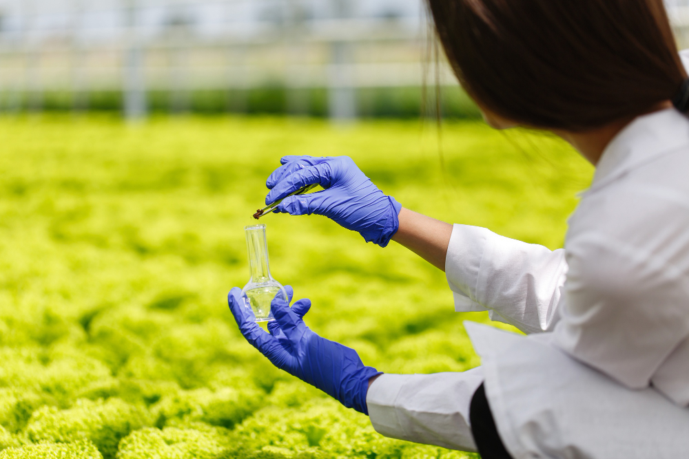 Biotecnología