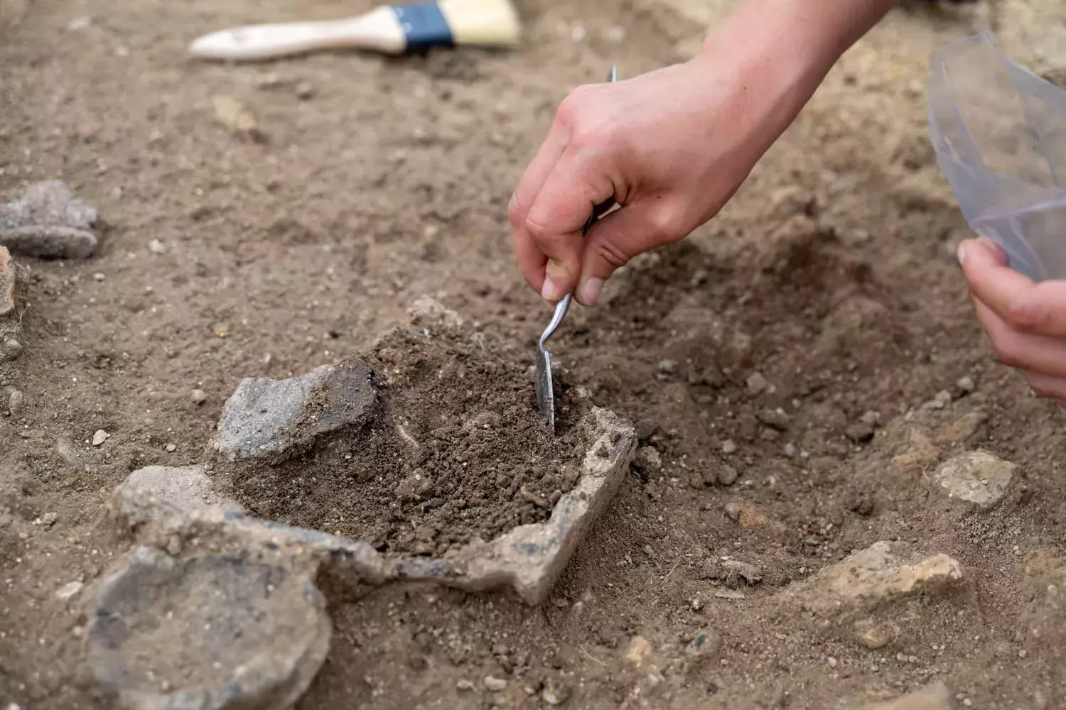 arqueología 
