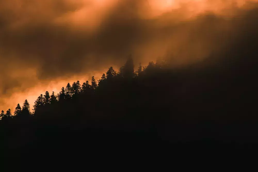 Incendio forestal
