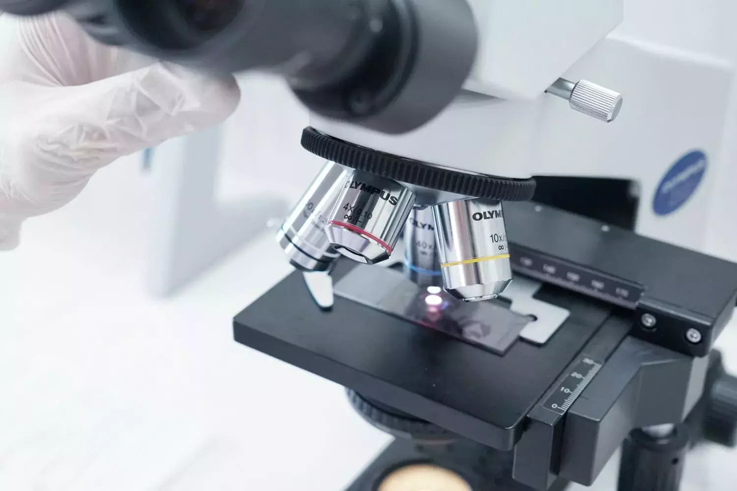 investigación