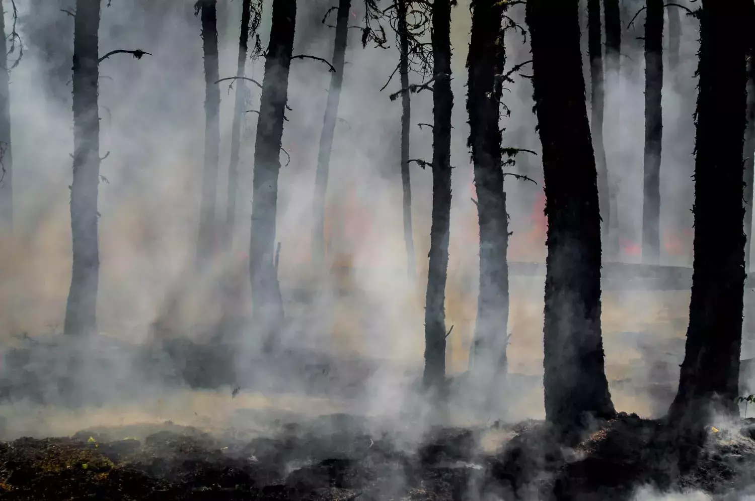 incendio2