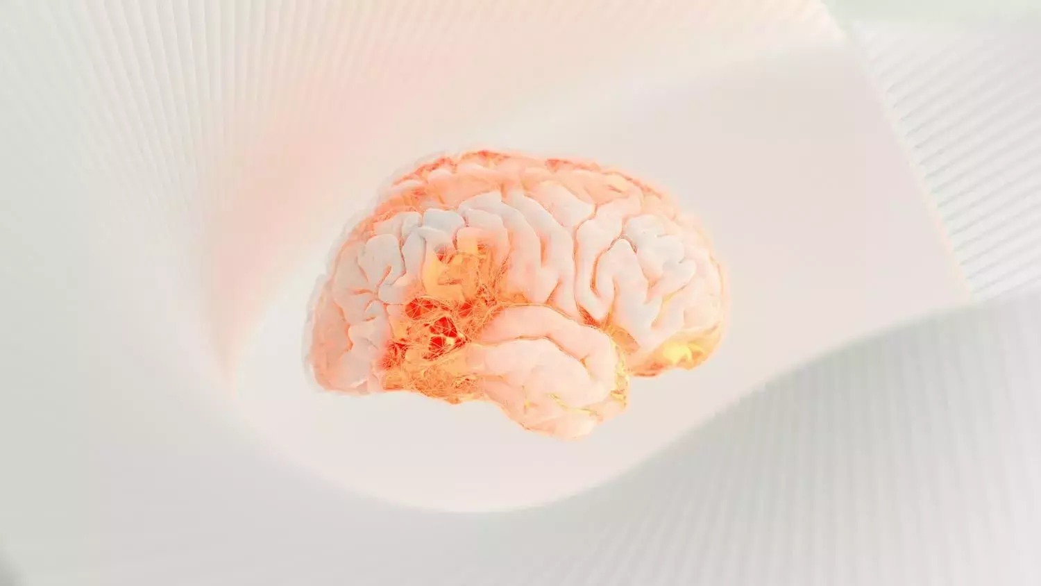 brain