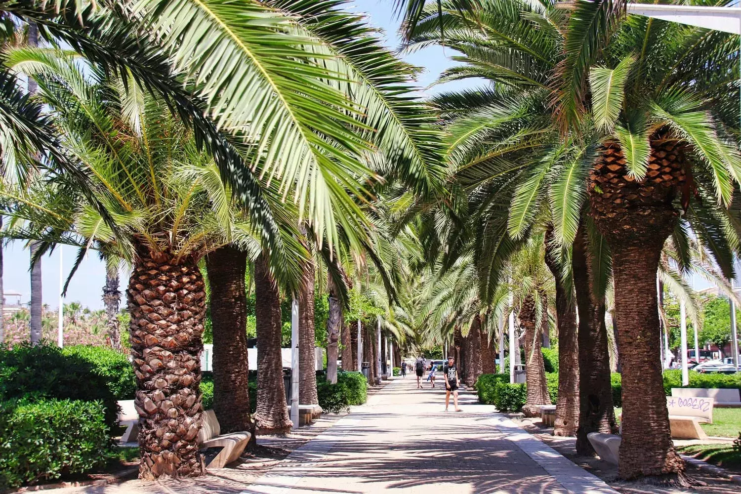 Valencia